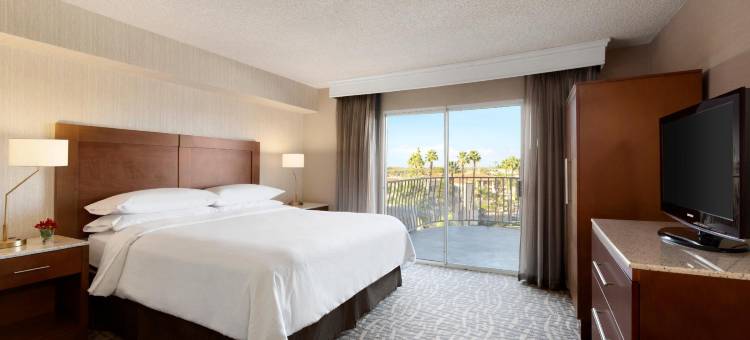 圣塔安那奥兰治县机场希尔顿安泊套房酒店(Embassy Suites by Hilton Santa Ana Orange County Airport)图片