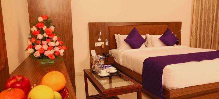 Aloka 宾馆(ALOKA STAY INN)图片