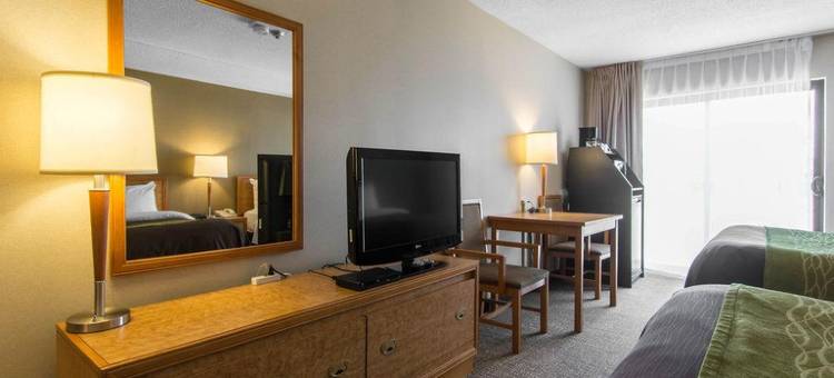 舒适酒店(Comfort Inn Dartmouth)图片