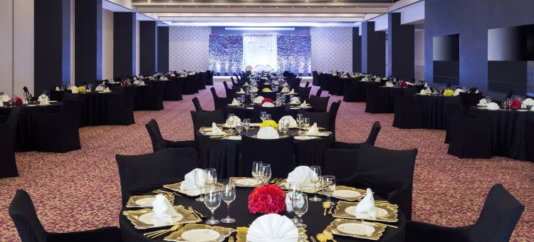 那格浦尔雷根塔中心酒店及会议中心(Regenta Central Hotel & Convention Centre Nagpur)图片