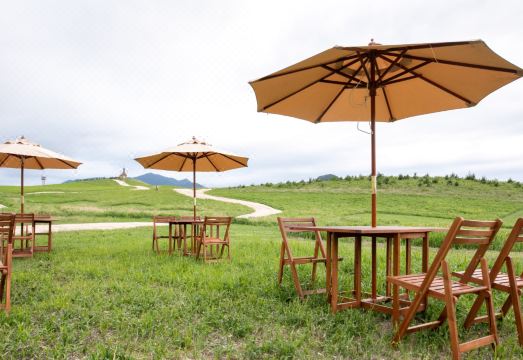 Grand Verde Resort Hotel Overview