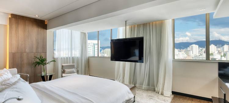 贝洛奥里藏特卢尔德美居酒店(Mercure Belo Horizonte Lourdes)图片