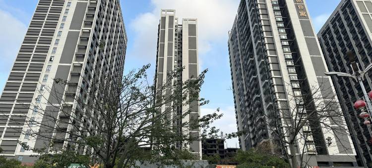 星铂酒店公寓房东(中心路分店)图片