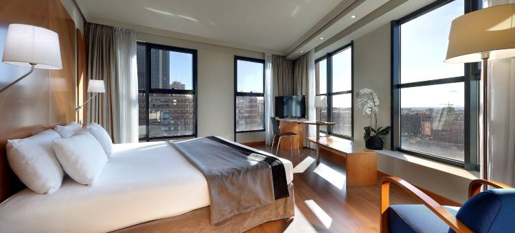 马德里埃克广场酒店(Exe Plaza)图片