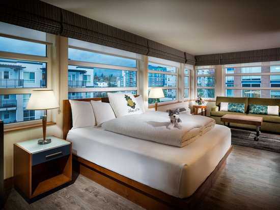 Staypineapple-华盛顿湖酒店-西雅图大学区