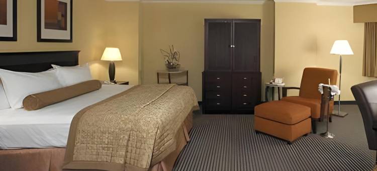 阿灵顿希尔顿酒店(Hilton Arlington)图片