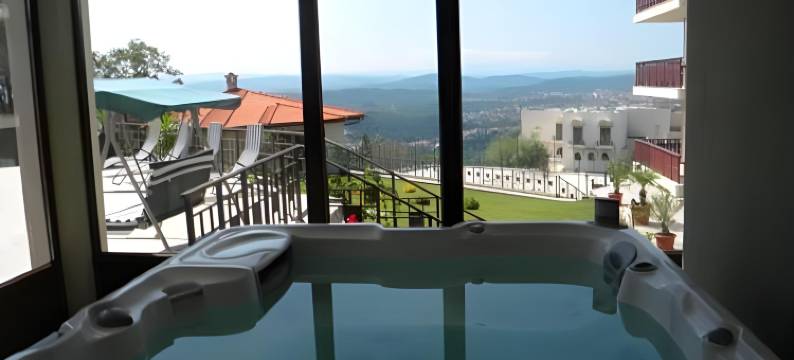 阿巴纳西公园酒店(Park Hotel Arbanassi)图片