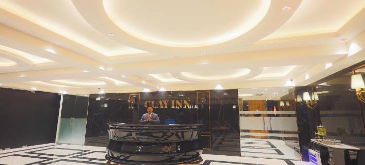 古尔冈克莱因酒店(Clay Inn Hotel Gurugram)图片