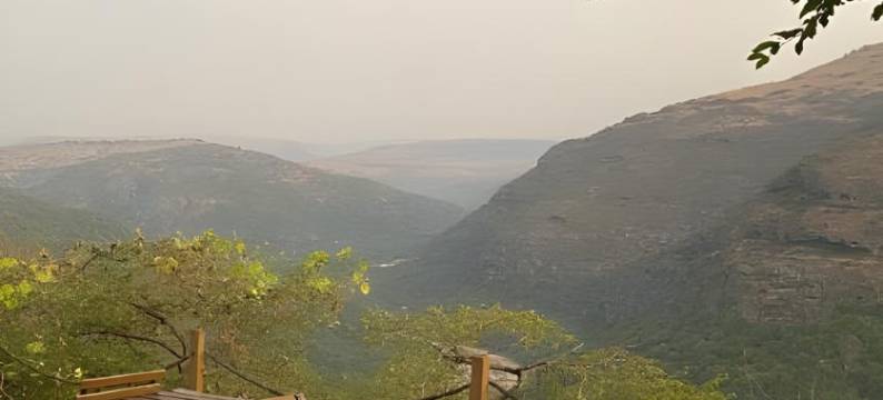 Serene Glamping图片