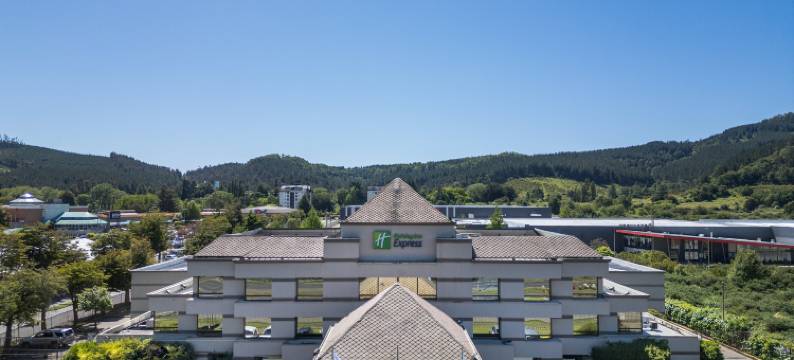 Holiday Inn Express 特木科(Holiday Inn Express TEMUCO by IHG)图片