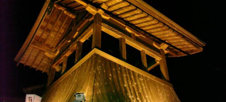 Natural Mind Tour图片