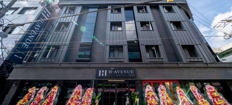 平泽住宿酒店 2(H Avenue Hotel)图片