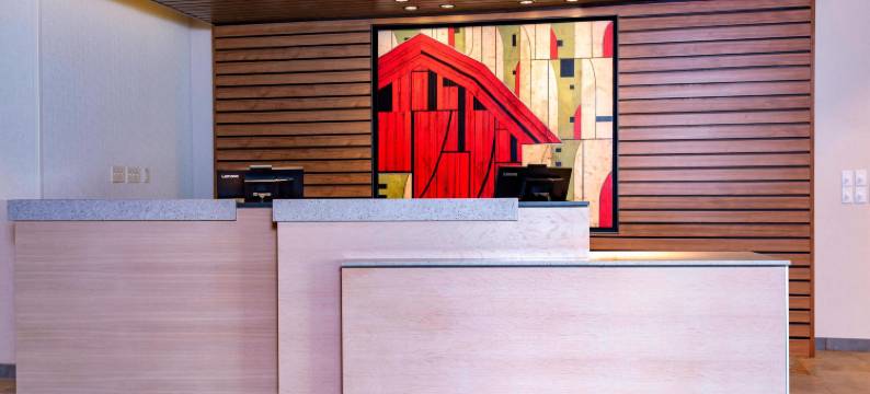 万枫套房酒店费尔奥克斯农场(Fairfield Inn & Suites Fair Oaks Farms)图片