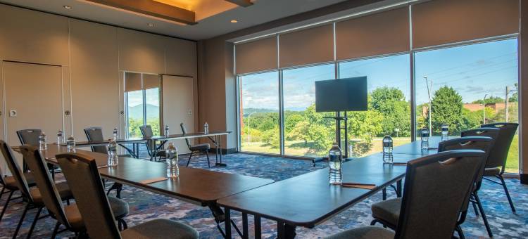 阿什维尔市中心希尔顿逸林酒店(DoubleTree by Hilton Asheville Downtown)图片