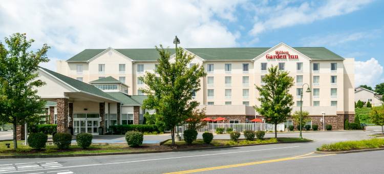 摩根敦希尔顿花园酒店(Hilton Garden Inn Morgantown)图片