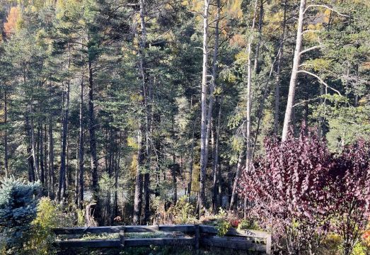 Chalet Recent Tout Confort A 1,5 kms des Remontées de Chantemerle Hotel Overview