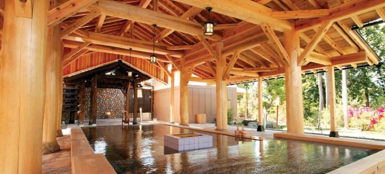 福知山皇家山水疗酒店(Hotel Royal Hill Fukuchiyama and Spa)图片