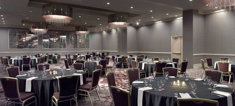 亚特兰大巴克海特希尔顿花园酒店(Hilton Garden Inn Atlanta-Buckhead)图片