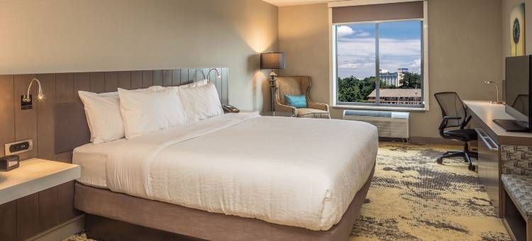 希尔顿花园旅馆-匹兹堡机场(Hilton Garden Inn Pittsburgh Airport)图片