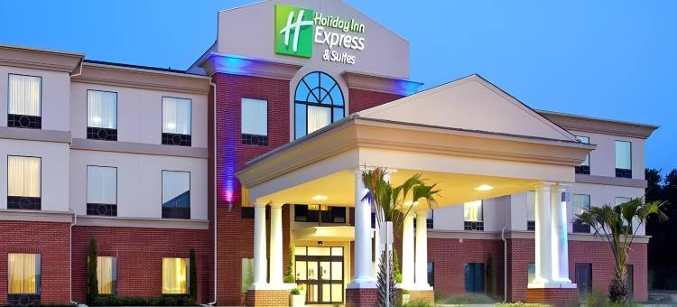 智选假日套房酒店赫恩(Holiday Inn Express & Suites HEARNE by IHG)图片