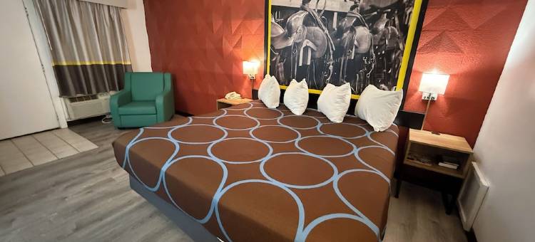 Super 8 by Wyndham Newcastle图片