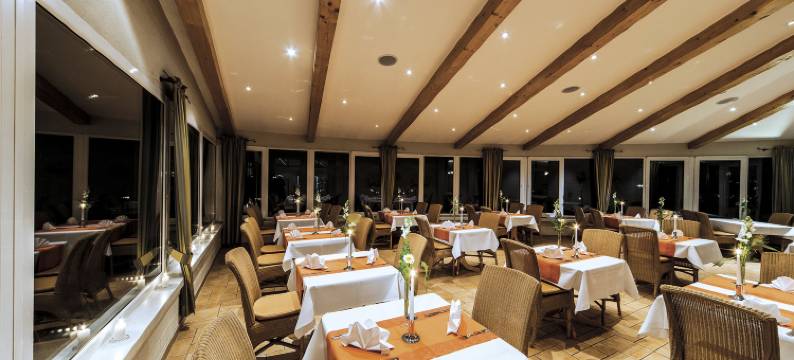 海德霍夫希酒店(Seehotel Heidehof)图片