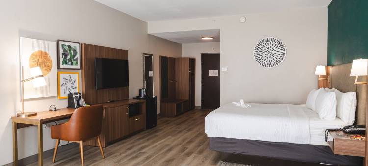 Holiday Inn 侯能源走廊埃尔德里奇(Holiday Inn Hou Energy Corridor Eldridge)图片