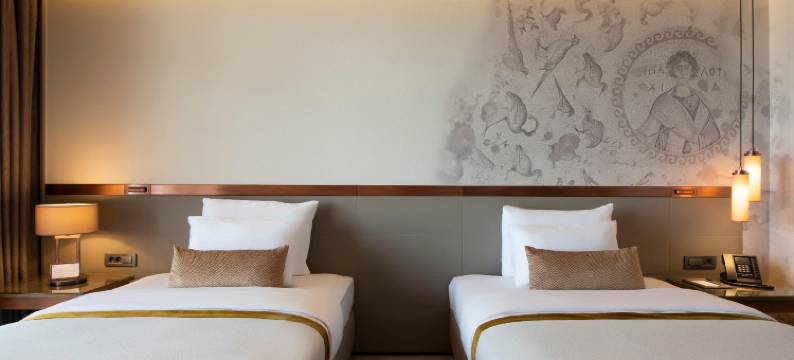 安塔基亚博物馆酒店(The Museum Hotel Antakya)图片