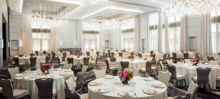 迈阿密希尔顿阿文图拉酒店(Hilton Miami Aventura)图片