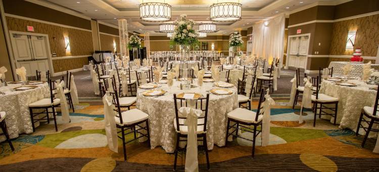 Holiday Inn 圣安东尼奥，RIVERWALK(Holiday Inn SAN ANTONIO-RIVERWALK by IHG)图片