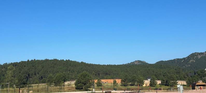 松树港住宿(Pine Haven Lodging)图片