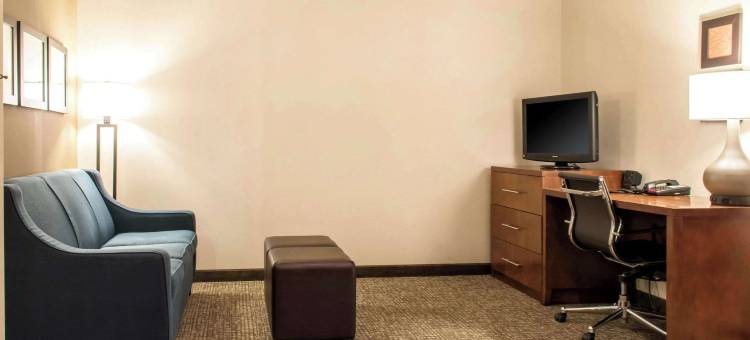 舒适套房酒店-近斯克兰顿蒙太奇山(Comfort Suites Scranton Near Montage Mountain)图片