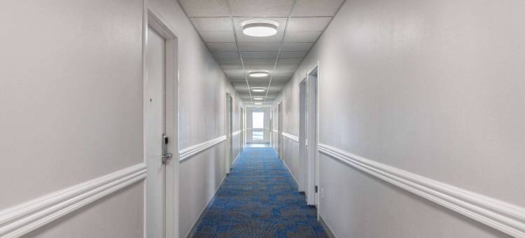 鲍灵格林温德姆麦客达套房酒店(Microtel Inn & Suites by Wyndham Bowling Green)图片