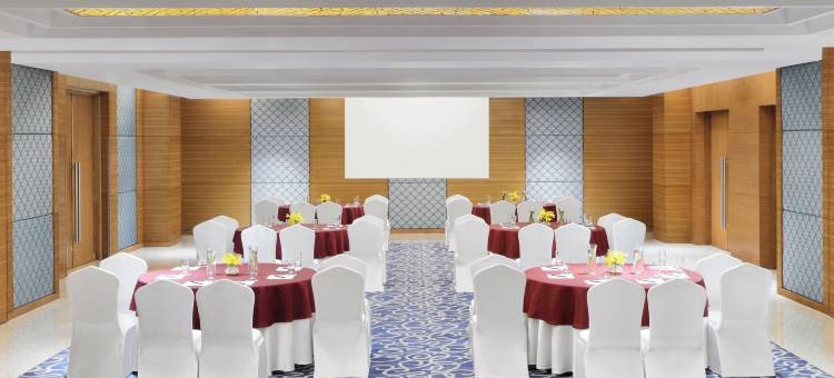 齐普尔市广场福朋喜来登酒店(Four Points by Sheraton Jaipur, City Square)图片