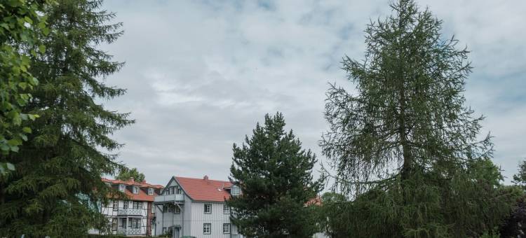 伊尔森堡的吸引人的平房带露台(Attractive Bungalow in Ilsenburg with Terrace)图片