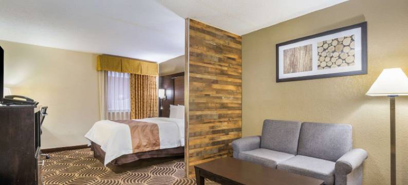 弗洛伦斯辛辛那提南凯艺套房酒店(Quality Inn & Suites Florence - Cincinnati South)图片