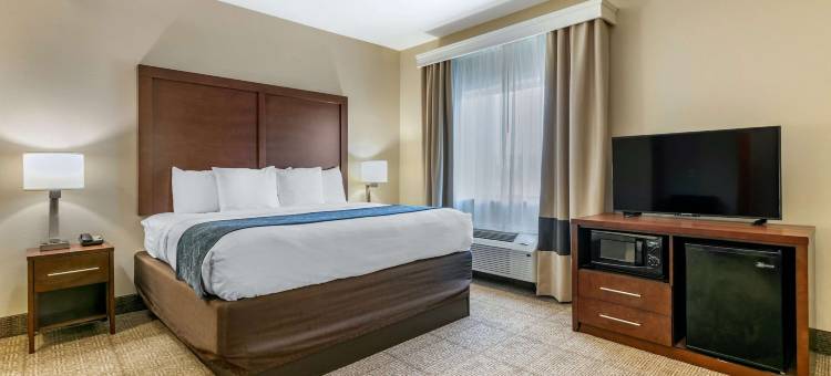 舒适套房酒店(Comfort Suites)图片