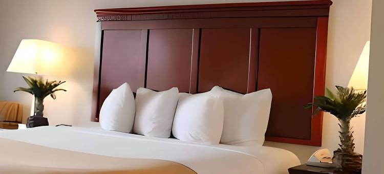 E里尔酒店(Rodeway Inn)图片