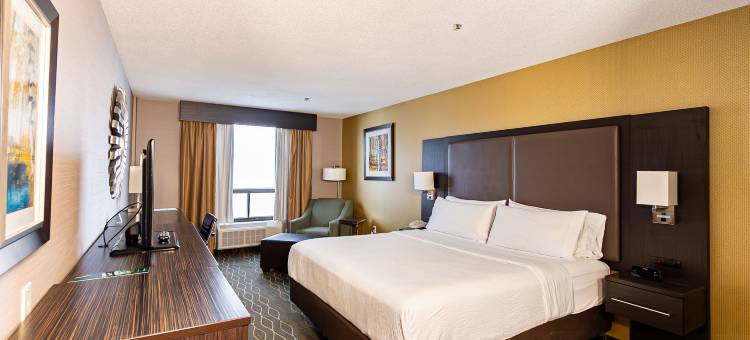 Holiday Inn 萨德伯里(Holiday Inn Sudbury)图片