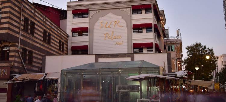 SUR宫殿酒店(Sur Palace Otel)图片