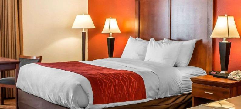 凯艺酒店(Quality Inn)图片