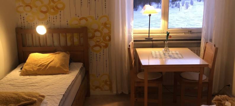 斯托利恩山庄 - 旅馆(Storliens Fjällgård)图片