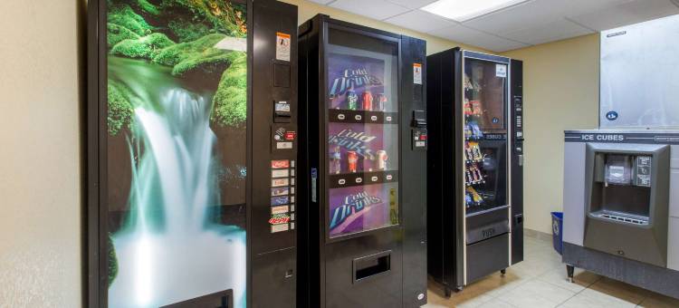 威廉斯顿品质酒店(Quality Inn Williamston)图片