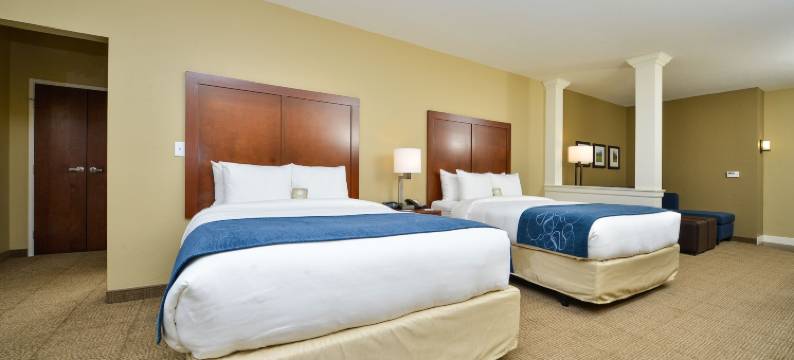 机场-大学舒适套房酒店(Comfort Suites Airport-University)图片