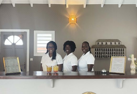 Hotel la Plantation Hotel Overview