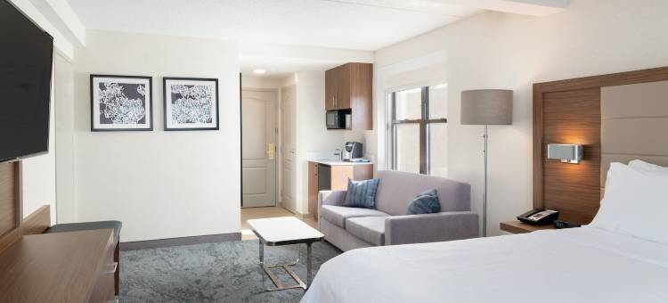 波士顿剑桥智选假日套房酒店(Holiday Inn Express & Suites Boston - Cambridge)图片