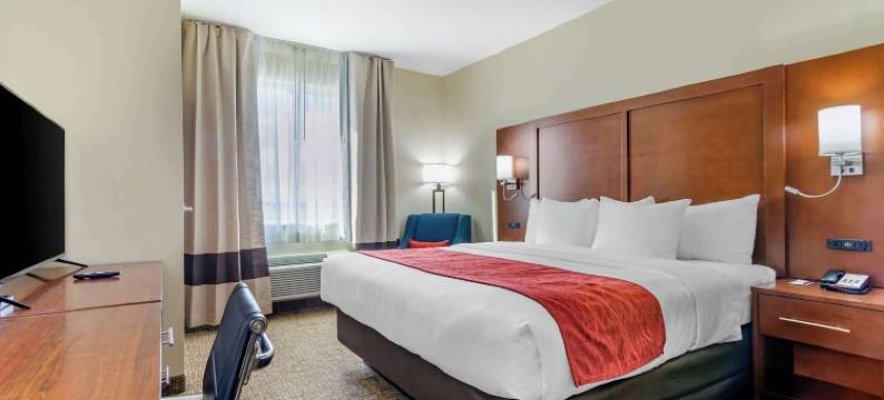 萨莱纳北舒适套房酒店(Comfort Inn & Suites Salina North)图片