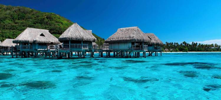 索菲特起亚索菲特奥拉莫雷阿岛海滩度假酒店(Sofitel Kia Ora Moorea Beach Resort)图片