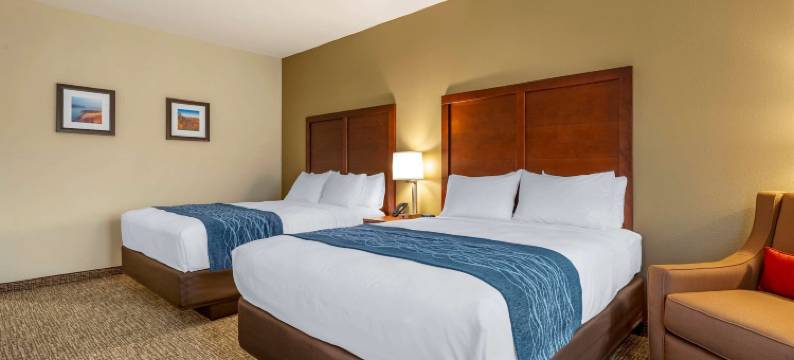 舒适酒店(Comfort Inn)图片