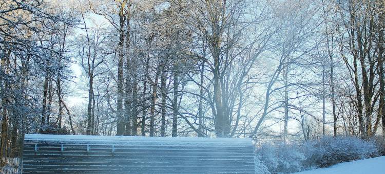 罗纳姆斯赫尔加德酒店-普罗菲尔酒店(Ronnums Herrgård)图片